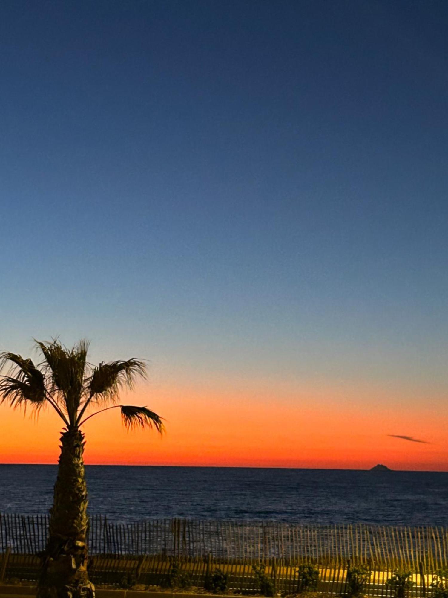 Apartamento Petite Endroit Splendide. Six-Fours-les-Plages Exterior foto