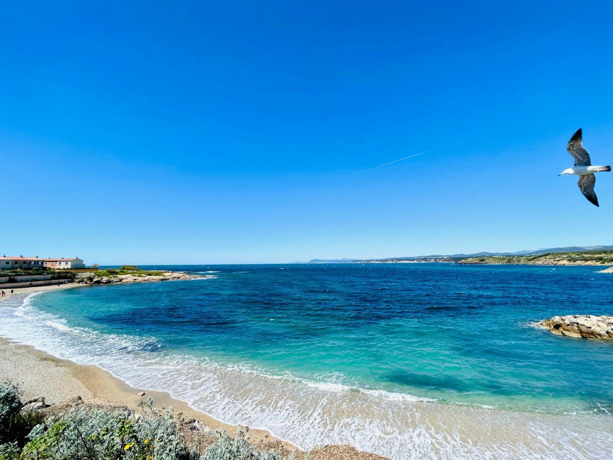 Apartamento Petite Endroit Splendide. Six-Fours-les-Plages Exterior foto